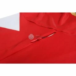 Power Rangers Dino Thunder Red Dino Ranger Conner McKnight Cosplay Costumes -Cosplay Clothing Store 6 800x800 443